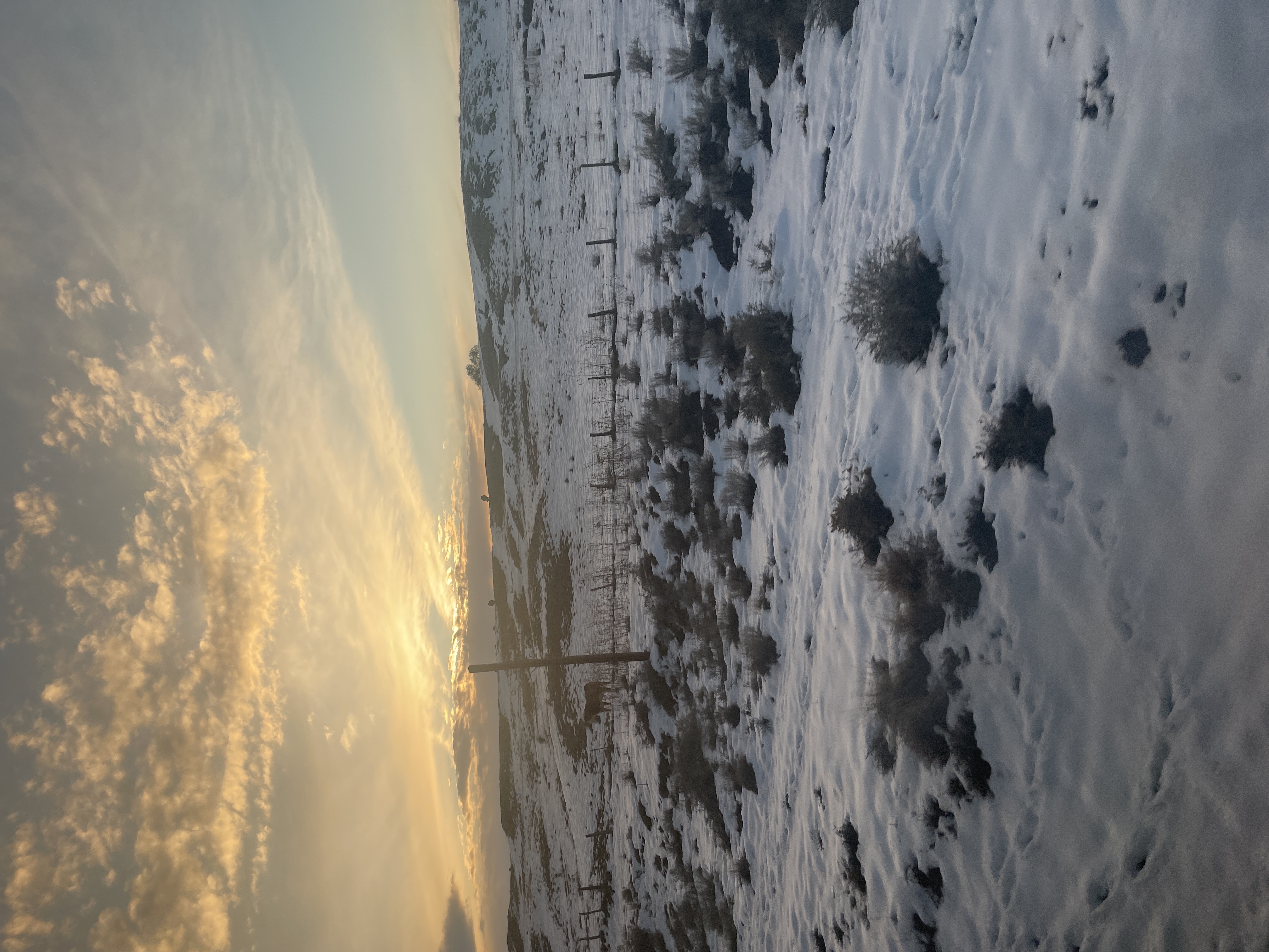view_snow2